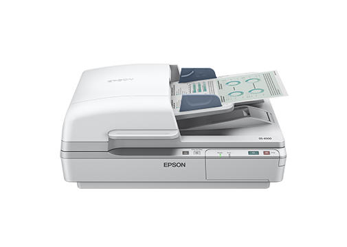 Epson DS-6500